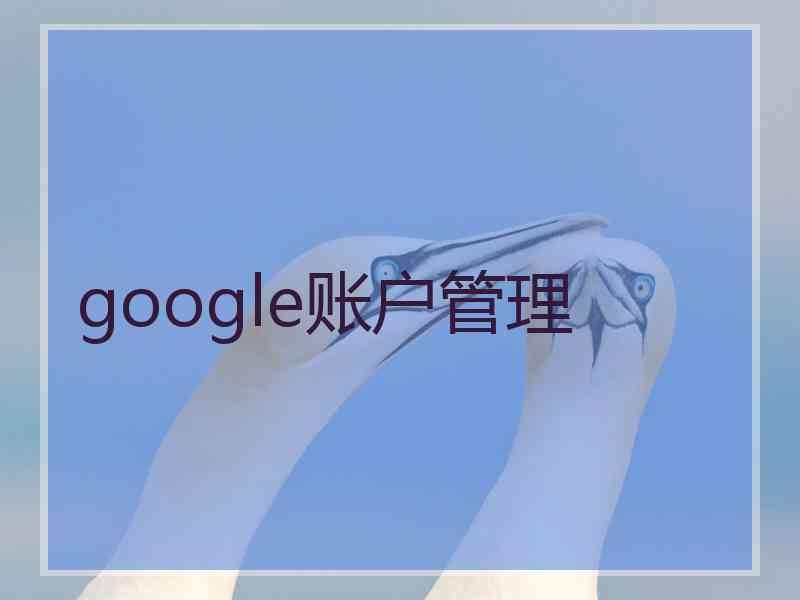 google账户管理