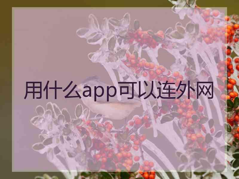 用什么app可以连外网