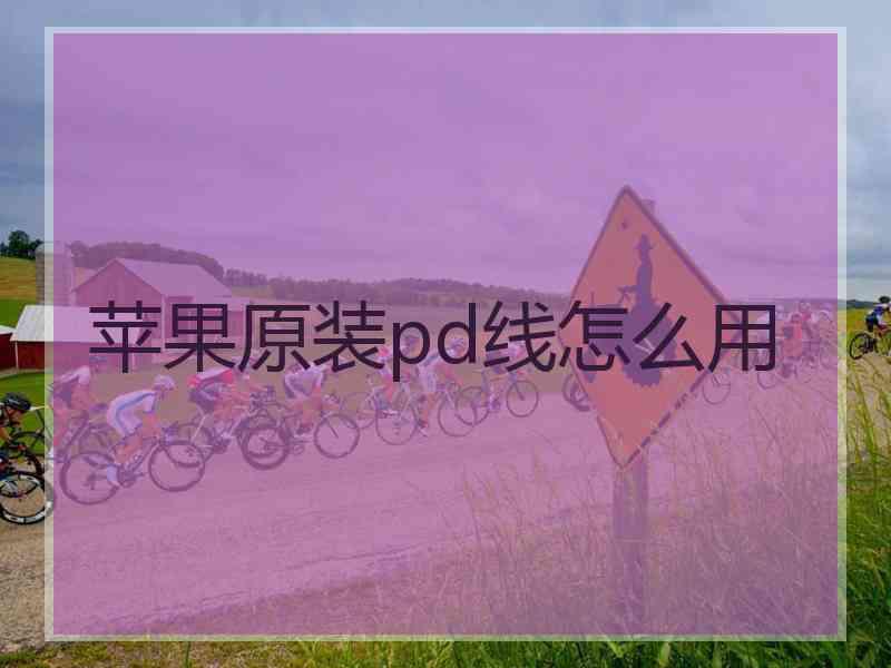 苹果原装pd线怎么用