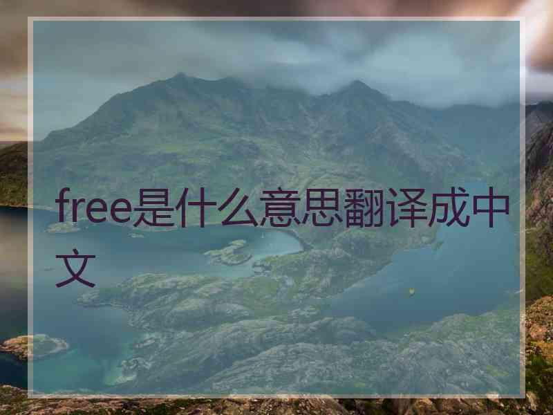 free是什么意思翻译成中文