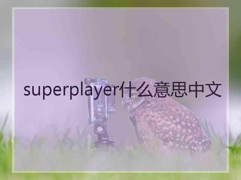 superplayer什么意思中文