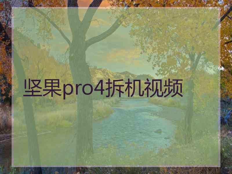 坚果pro4拆机视频