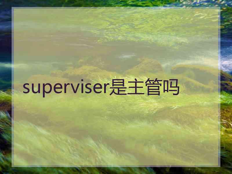 superviser是主管吗