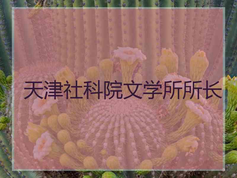 天津社科院文学所所长