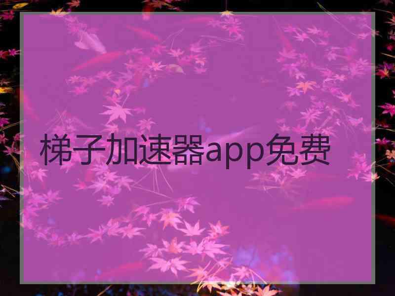 梯子加速器app免费