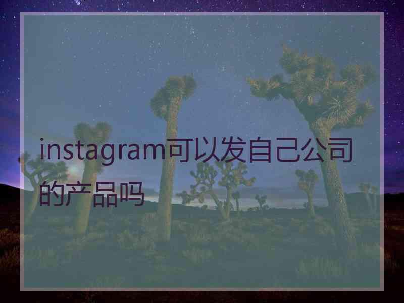 instagram可以发自己公司的产品吗