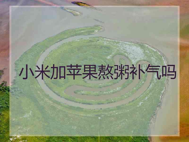 小米加苹果熬粥补气吗