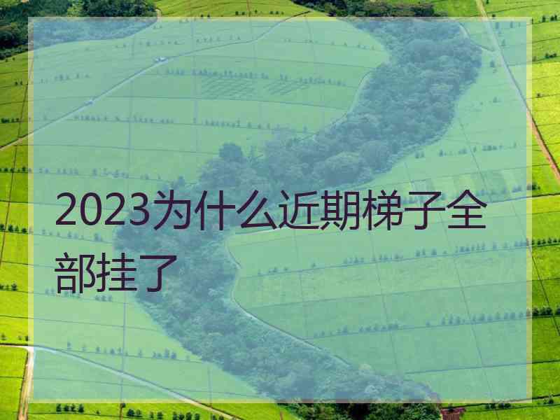 2023为什么近期梯子全部挂了