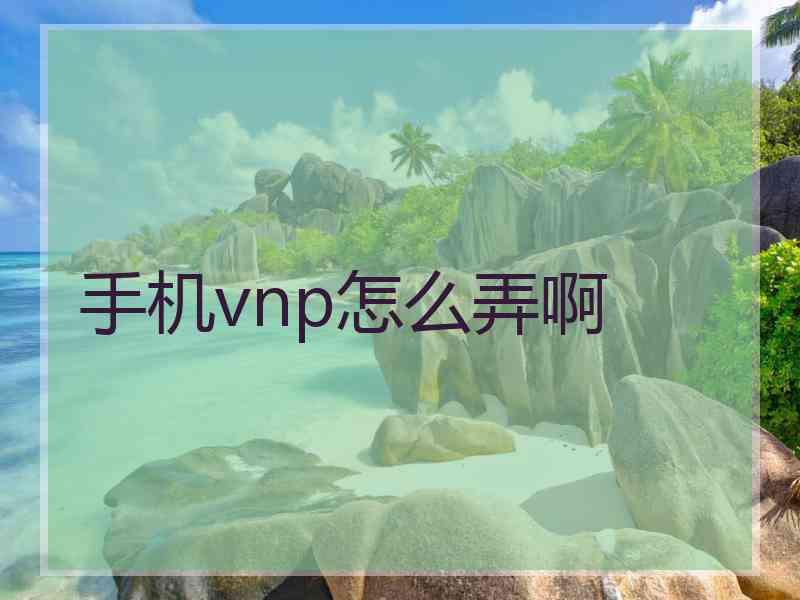 手机vnp怎么弄啊