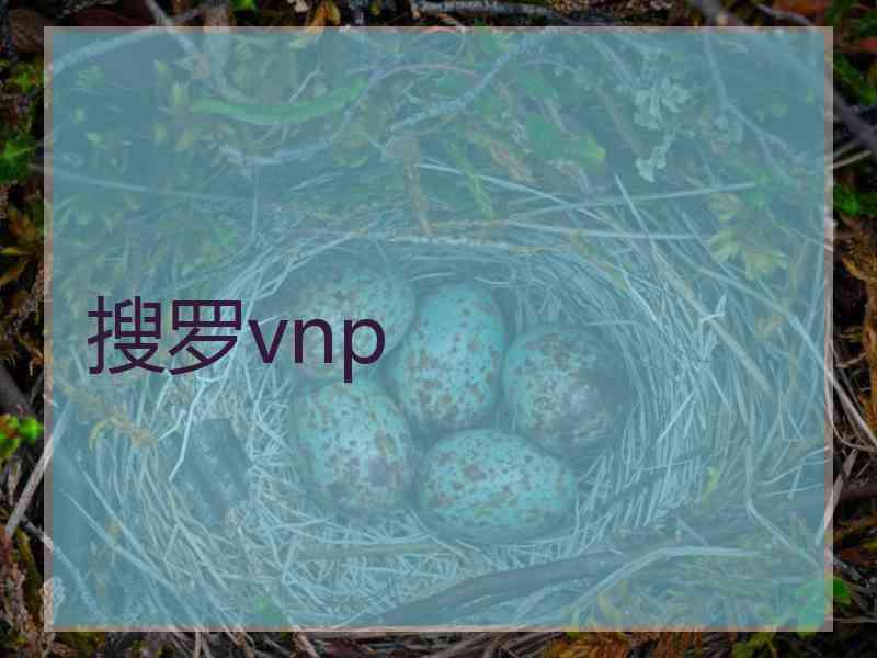 搜罗vnp