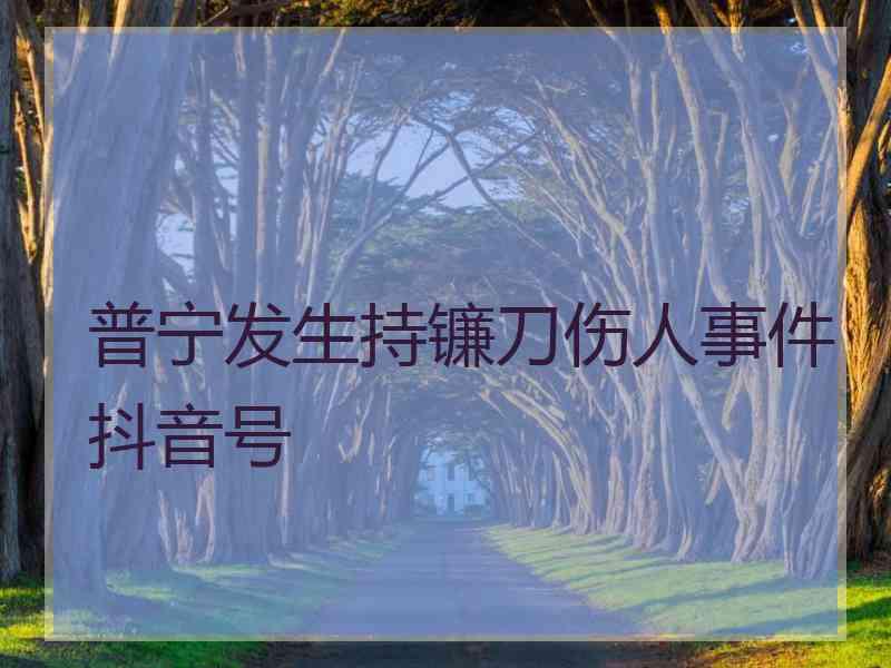 普宁发生持镰刀伤人事件抖音号