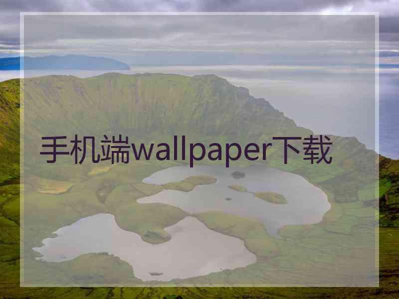 手机端wallpaper下载