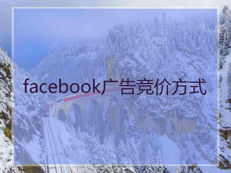 facebook广告竞价方式