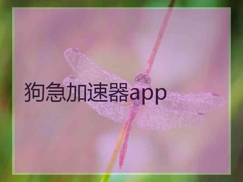 狗急加速器app