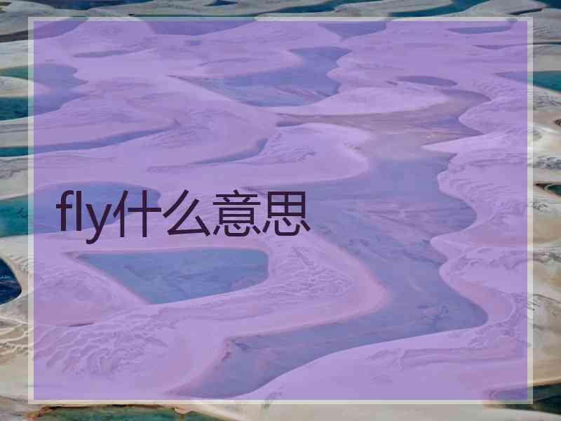 fly什么意思