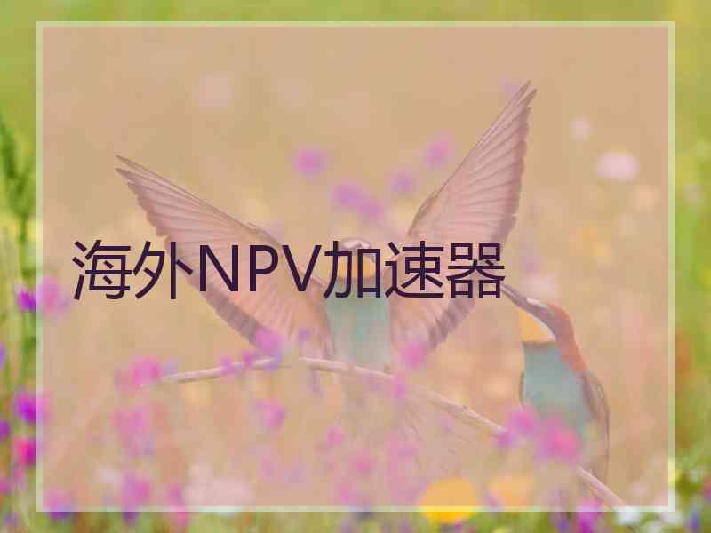 海外NPV加速器