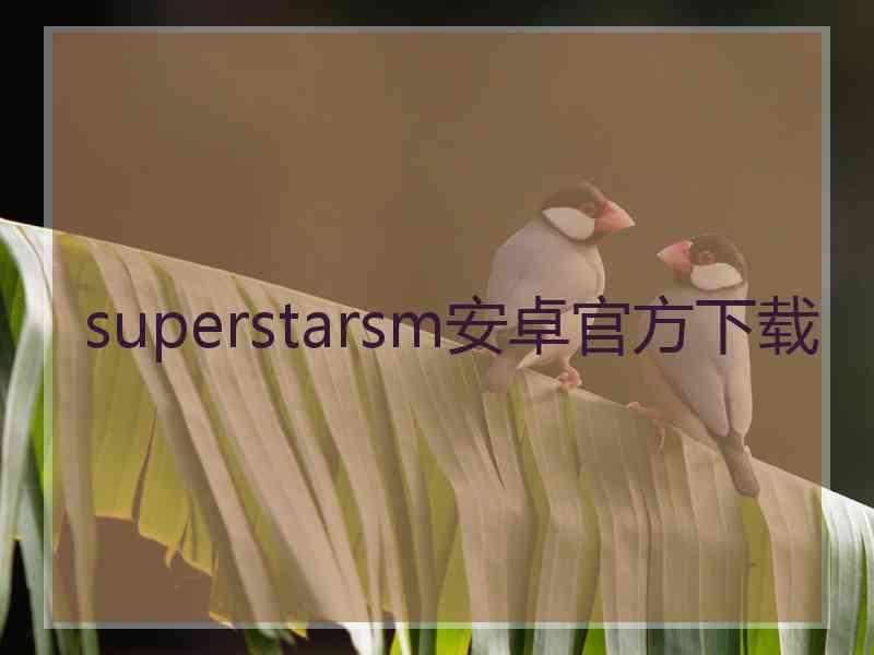 superstarsm安卓官方下载