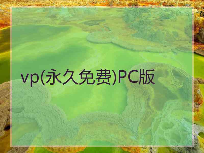 vp(永久免费)PC版