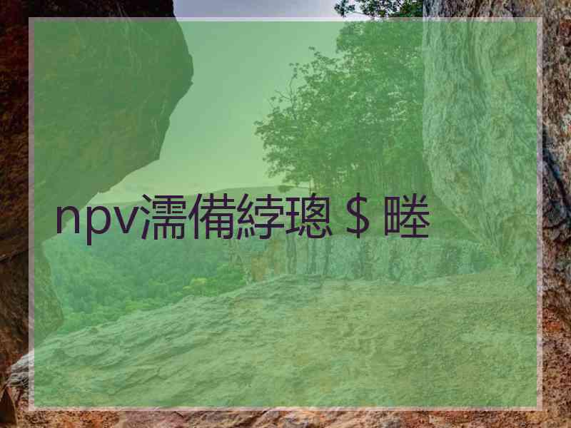 npv濡備綍璁＄畻