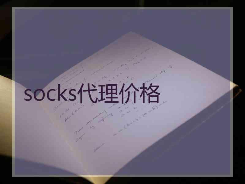 socks代理价格