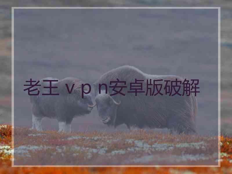 老王 v p n安卓版破解