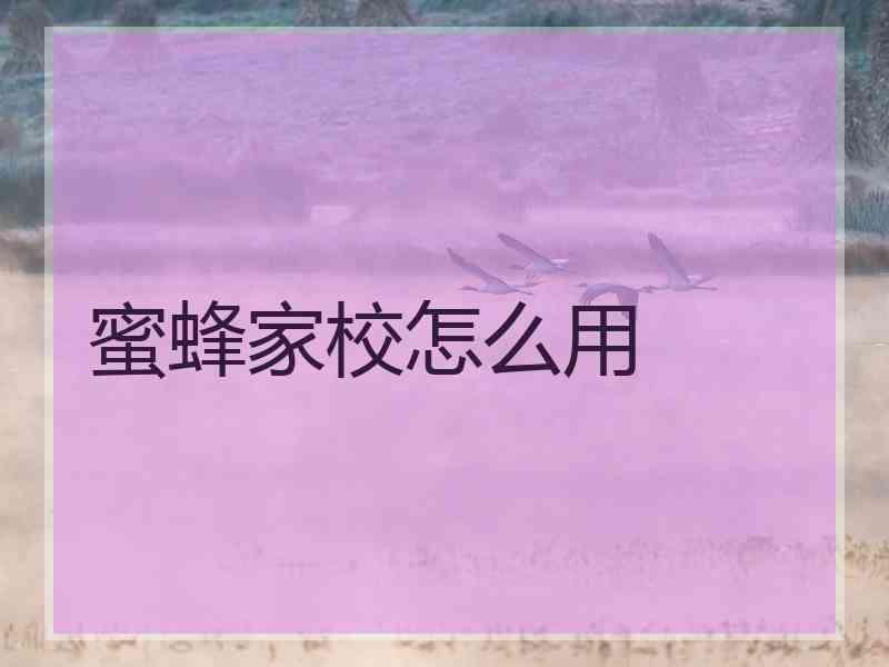 蜜蜂家校怎么用