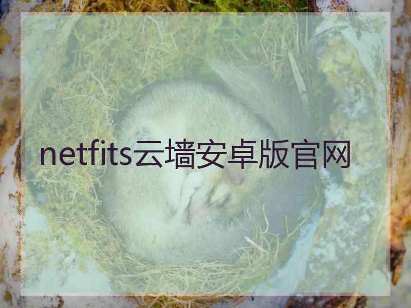 netfits云墙安卓版官网