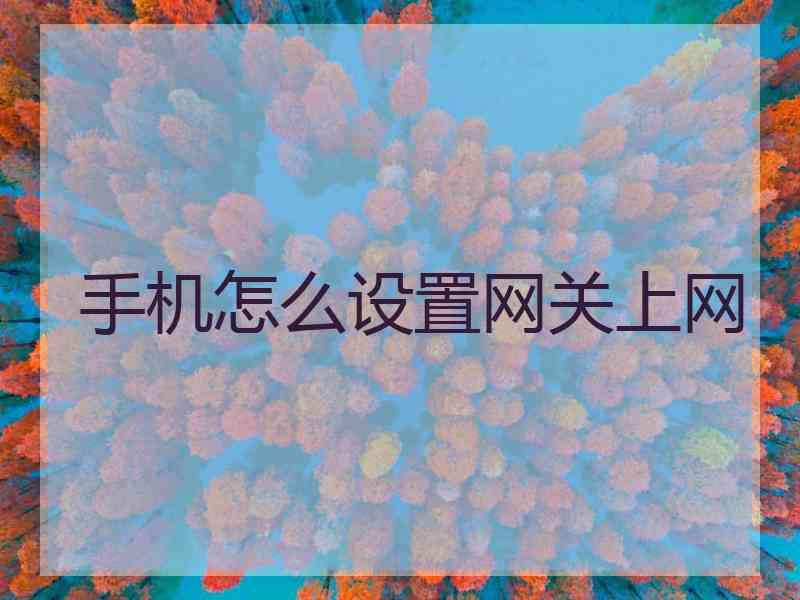 手机怎么设置网关上网