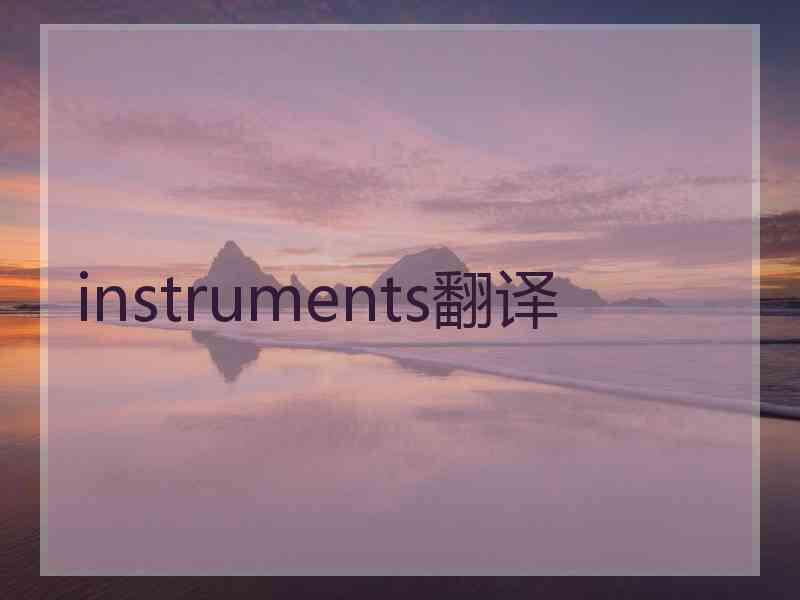 instruments翻译