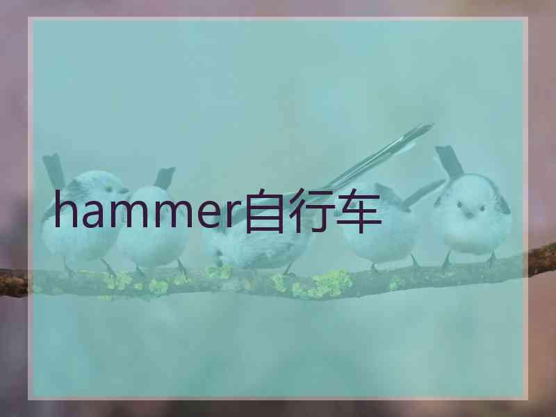 hammer自行车