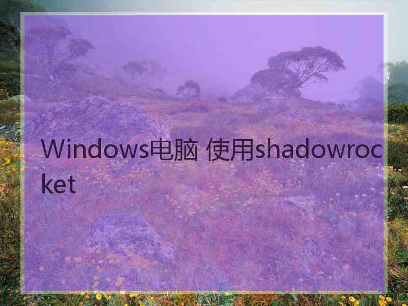 Windows电脑 使用shadowrocket