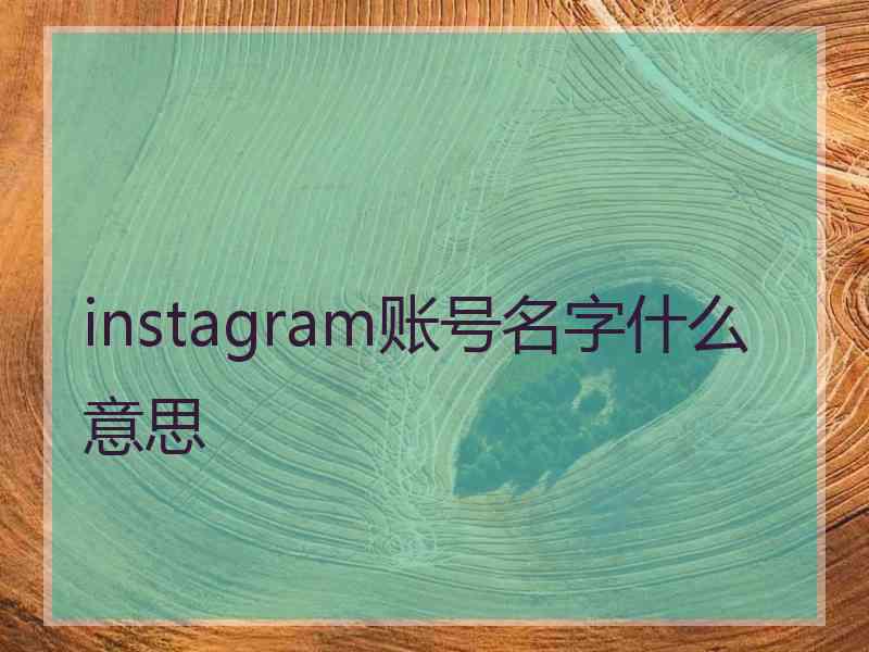 instagram账号名字什么意思