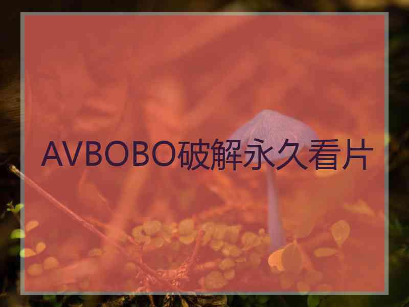 AVBOBO破解永久看片