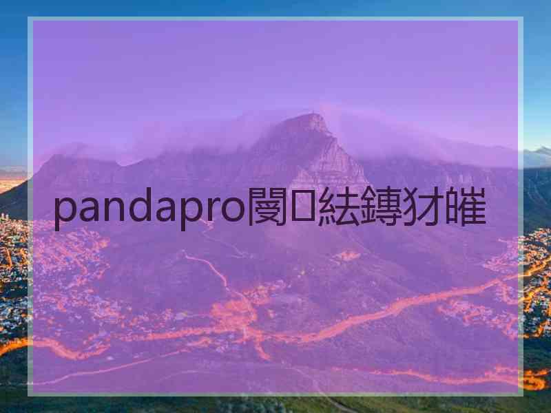 pandapro閿紶鏄犲皠