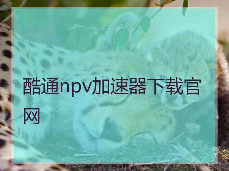 酷通npv加速器下载官网