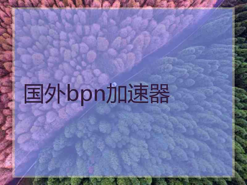 国外bpn加速器