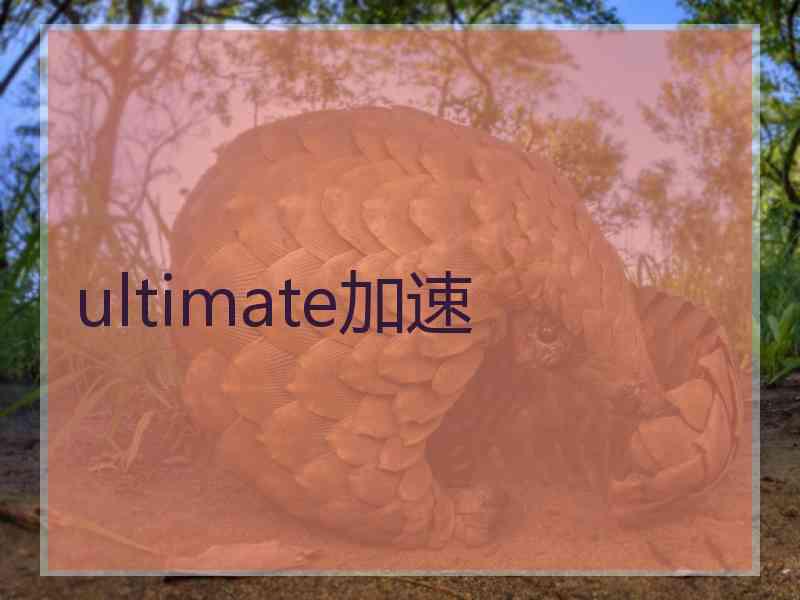 ultimate加速