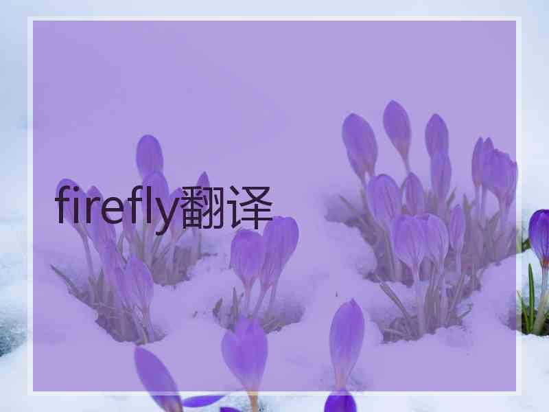 firefly翻译