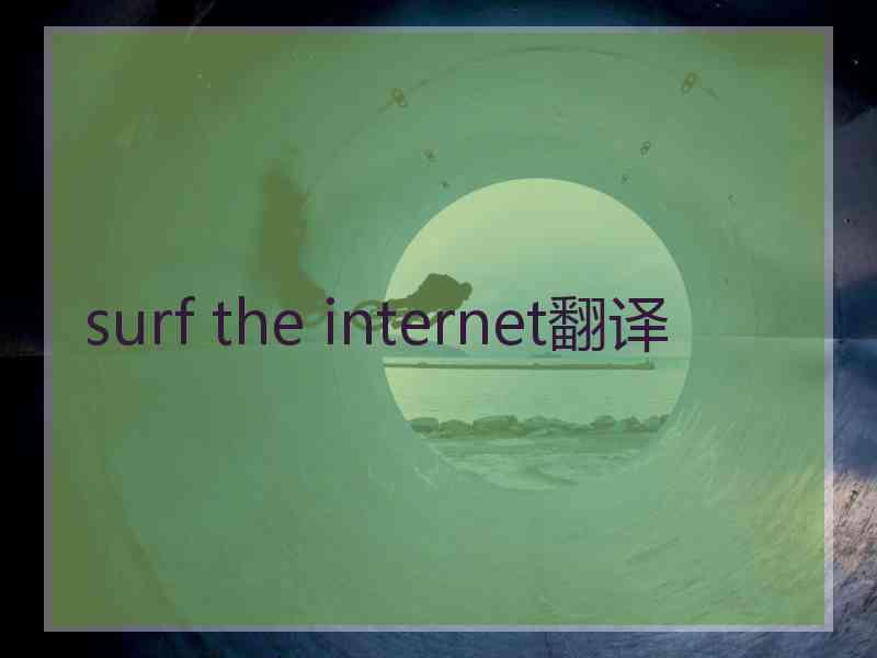 surf the internet翻译