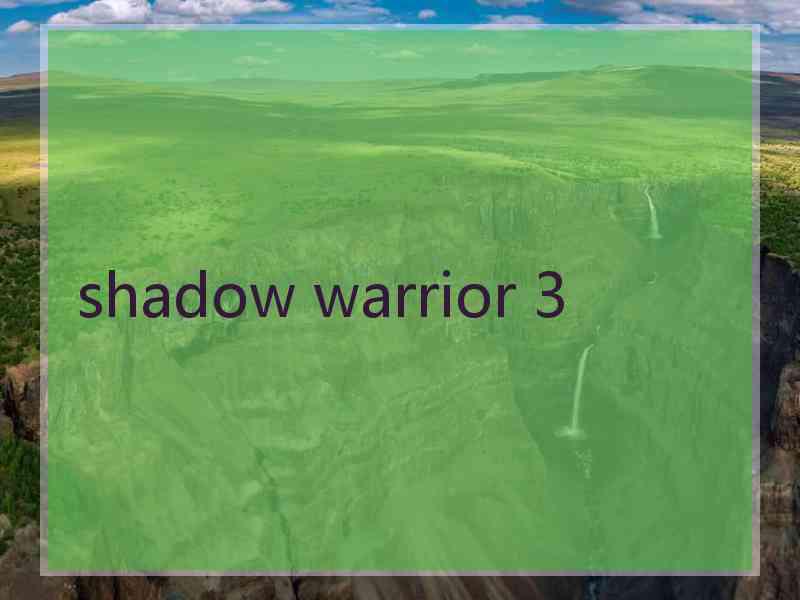 shadow warrior 3