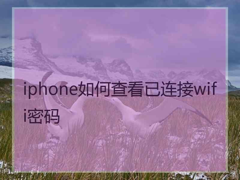 iphone如何查看已连接wifi密码