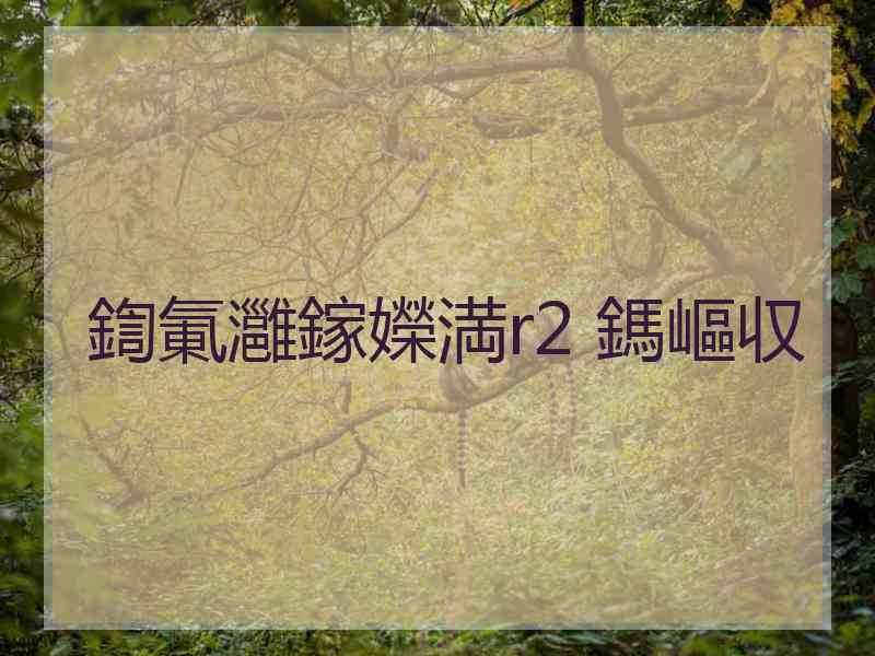 鍧氭灉鎵嬫満r2 鎷嶇収