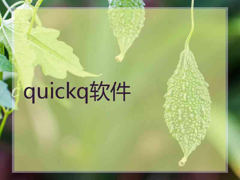 quickq软件