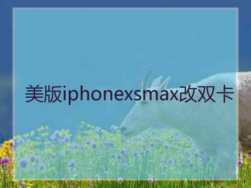 美版iphonexsmax改双卡