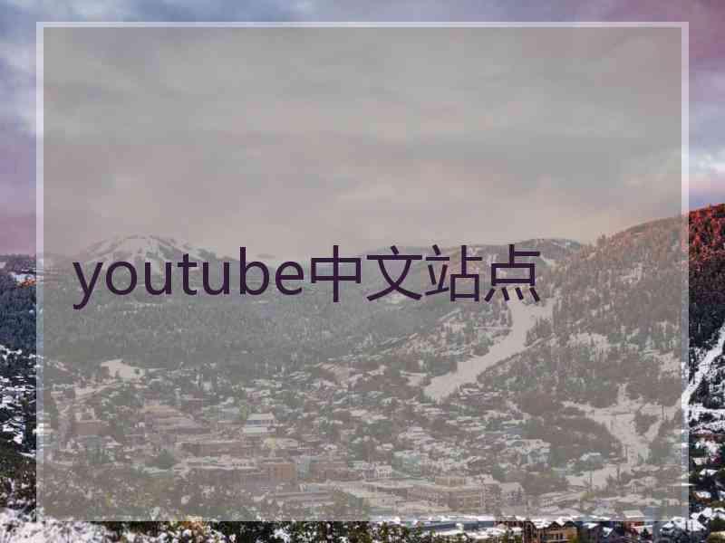 youtube中文站点