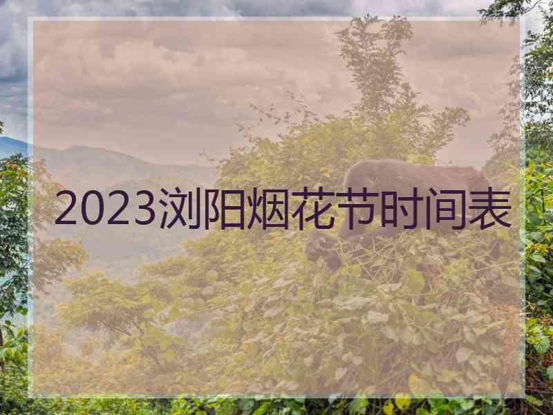 2023浏阳烟花节时间表