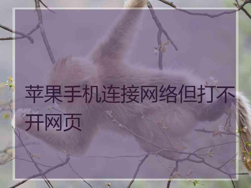 苹果手机连接网络但打不开网页