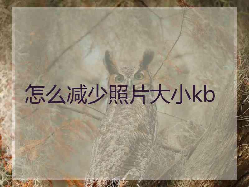 怎么减少照片大小kb