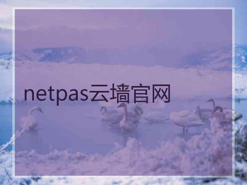 netpas云墙官网