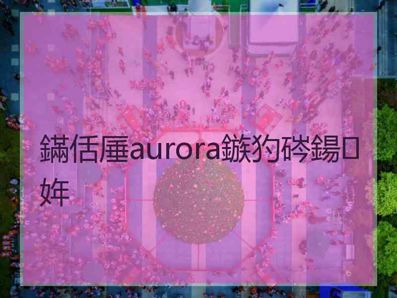 鏋佸厜aurora鏃犳硶鍚姩